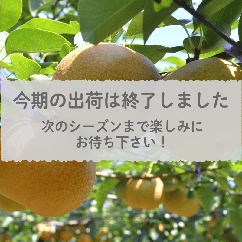 愛知県安城市/刈谷市産他】安城梨・甘ひびき 大玉サイズ・2玉