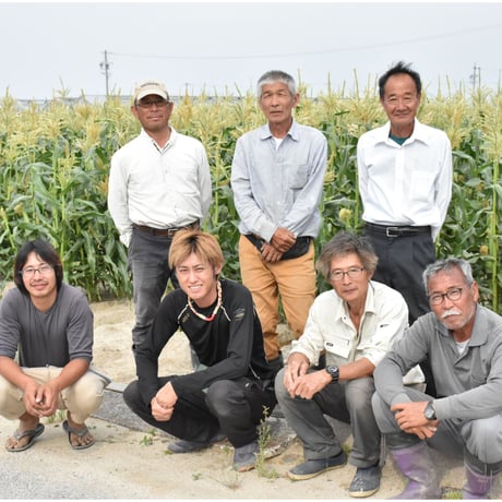 【愛知県碧南市産】朝採りとうもろこし（スイートコーン）『味来』5㎏箱・ 15本入