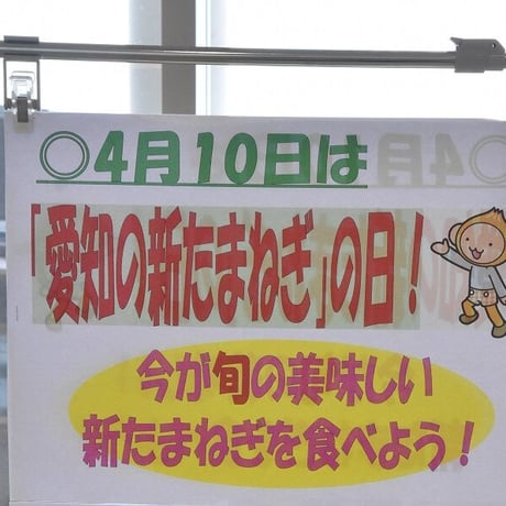 【愛知県碧南市産】タマネギ『へきなんサラダたまねぎ』4.5㎏箱・Lサイズ