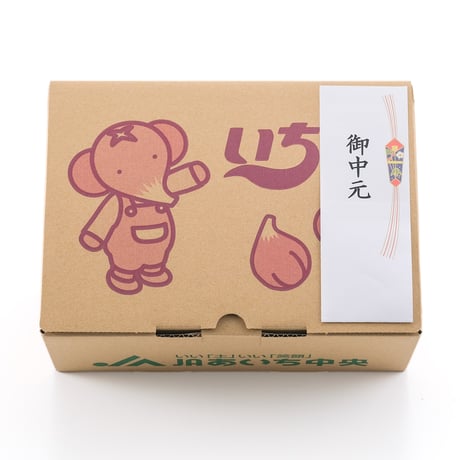 【御中元のし付き】ハウスいちじく　2パック入箱（3～5玉入・350g/パック）