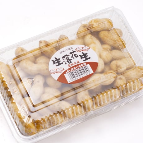【愛知県碧南市産】へきなんの生らっかせい（地豆） 300gパック×2個入