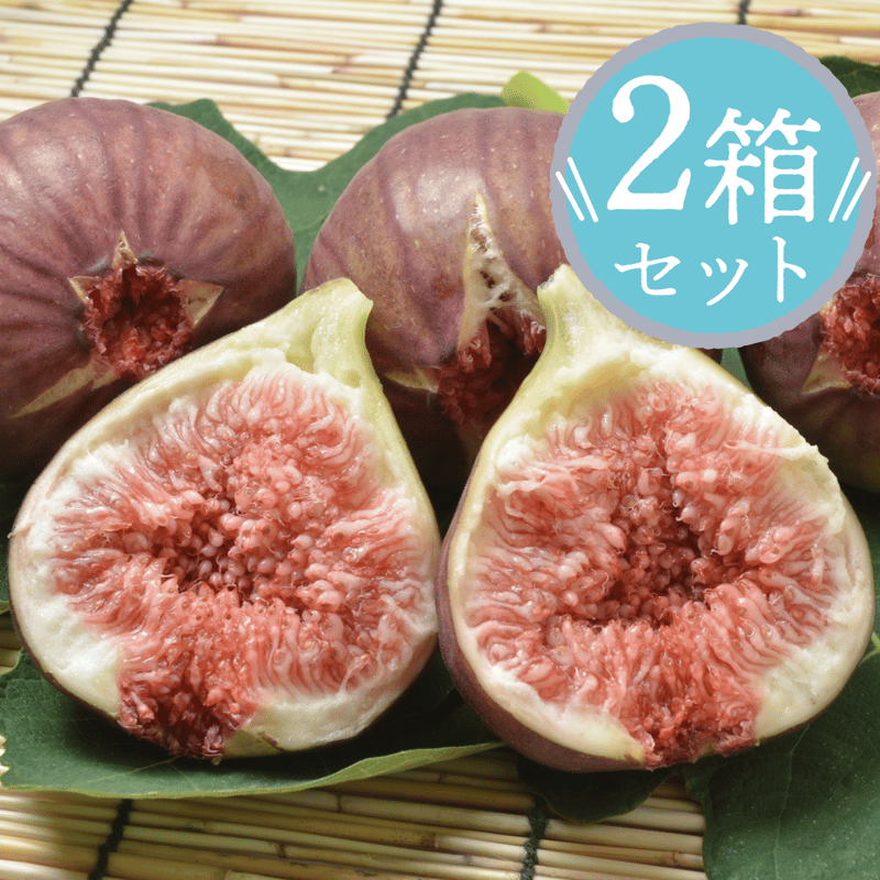 愛知県安城市/碧南市産他】ハウスいちじく 2パック入箱 ☆2箱
