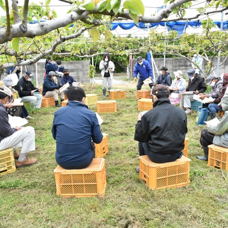 甘ひびき抽選販売について