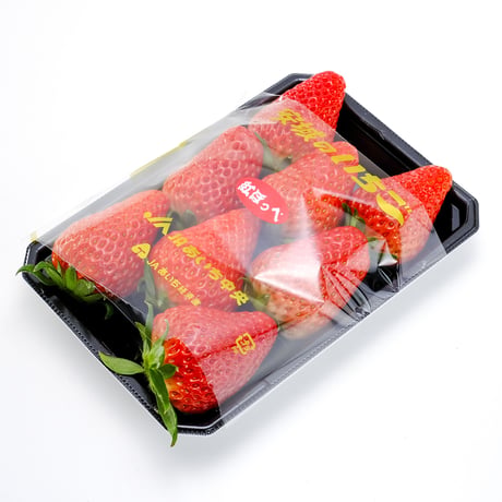 【愛知県安城市産】安城いちご『くらベリー』 2パック入箱（7～12玉入・250g/平パック）