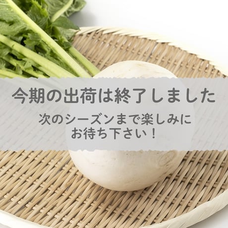 【愛知県碧南市産】碧南のかぶ（露地カブ）　10㎏箱・4Ⅼサイズ（12玉入）