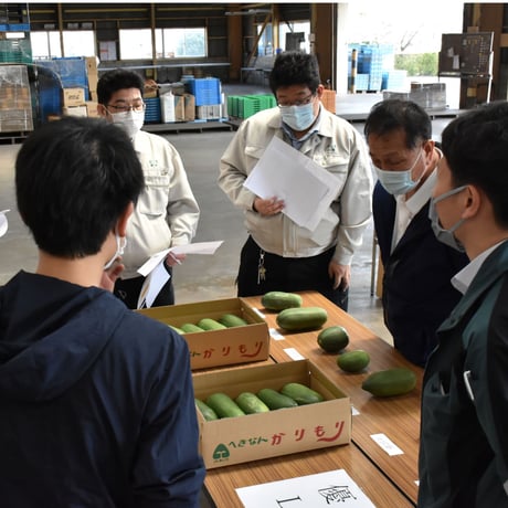 【愛知県碧南市産】早生かりもり　4㎏箱・2Ｌサイズ（8～9玉入）【愛知の伝統野菜】