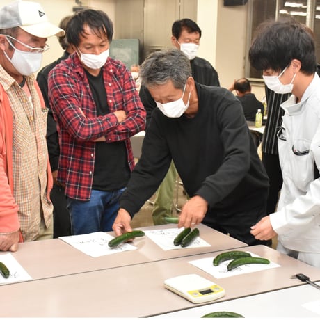 【愛知県安城市/碧南市/刈谷市産】キュウリ『三河みどり』 5㎏箱・Ⅿサイズ（50本以上入）