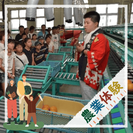 【令和3年8月21日（土）開催】　小学生の夏休み親子体験イベント「安城梨をまなぼう！」【愛知県安城市】