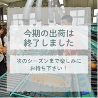 【令和4年8月20日（土）開催】”碧海そだち”「学ぶ」好きを育てる『安城梨 選果場見学会』