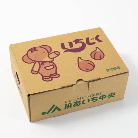【愛知県安城市/碧南市産他】ハウスいちじく　2パック入箱　★2箱セット
