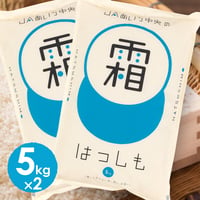 【愛知県産】ハツシモ白米10kg　★令和8年新米！