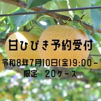 【愛知県安城市/刈谷市産他】安城梨・甘ひびき　大玉サイズ・2玉入り（1玉600g以上）【予約販売】※数量限定