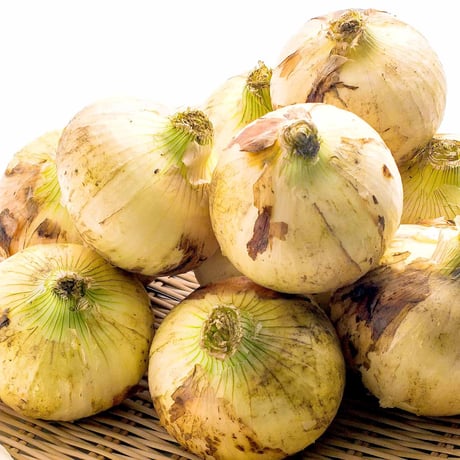 【愛知県碧南市産】タマネギ『へきなんサラダたまねぎ』4.5㎏箱・Lサイズ