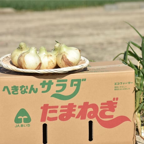 【愛知県碧南市産】タマネギ『へきなんサラダたまねぎ』4.5㎏箱・Lサイズ