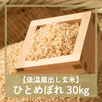 【令和6年3月9日（土）引き渡し】低温蔵出し玄米ひとめぼれ30kg