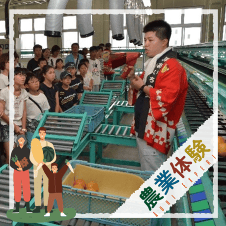 【令和4年8月20日（土）開催】”碧海そだち”「学ぶ」好きを育てる『安城梨 選果場見学会』