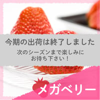 【愛知県安城市産】安城いちご『メガベリー』 2パック入箱（4～6玉入・250g/平パック）【3週間限定商品】