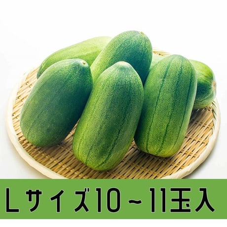 【愛知県碧南市産】早生かりもり　4㎏箱・Ｌサイズ（10～11玉入）【愛知の伝統野菜】