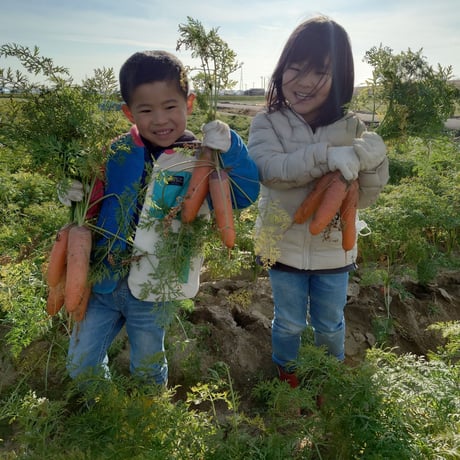 【愛知県碧南市産】ニンジン『へきなん美人』10㎏箱・Lサイズ【大容量】
