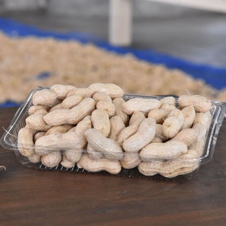 【愛知県碧南市産】へきなんの生らっかせい（地豆） 300gパック×2個入