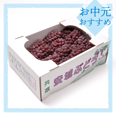 【御中元のし付き】安城ぶどう・『デラウェア（種なし）』 2kg箱