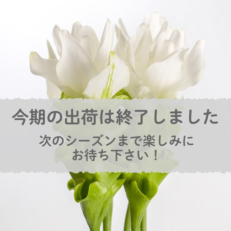 66f63309f0358e01503922f9