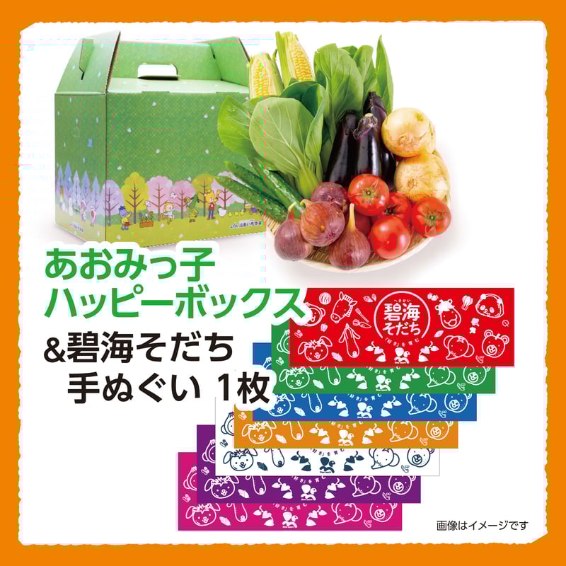あおみっ子ハッピーボックス＆碧海そだち手ぬぐい1枚』セット | JA