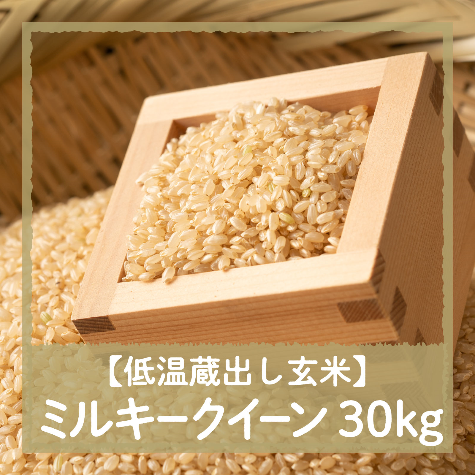 11/14（土）10：00～12：00引渡し】低温蔵出し玄米令和7年産ミルキー