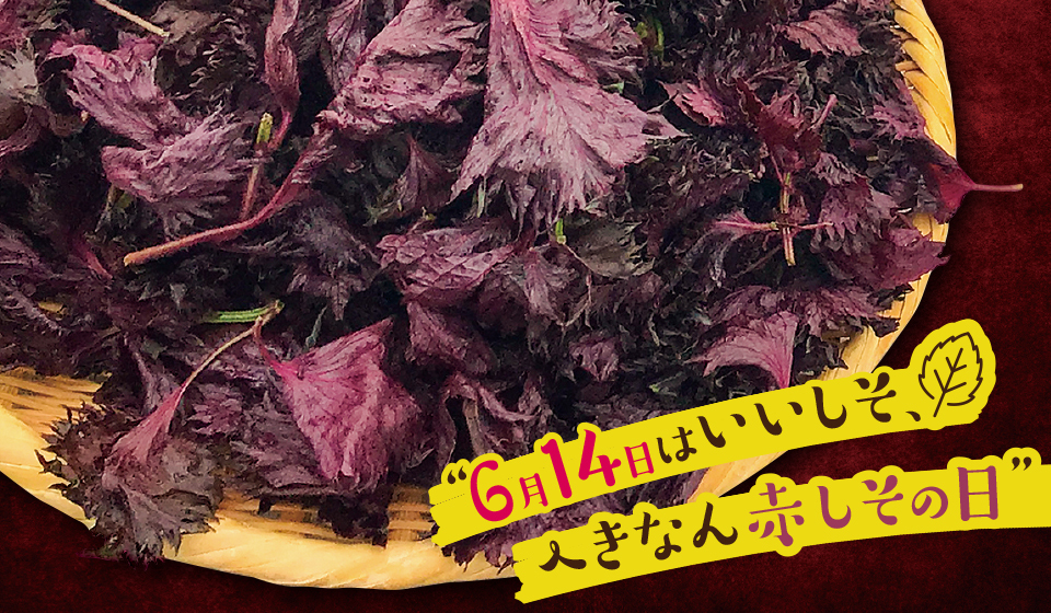 6/14はへきなん赤しその日！