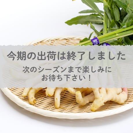 【愛知県碧南市産】へきなん葉しょうが　4㎏箱・100g×40束入り【盆前発送】