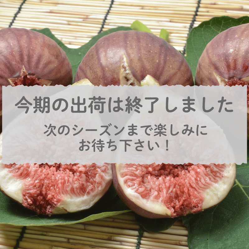 イチジク3種セット イチジクの苗3種セット25-13