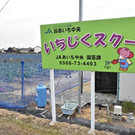 【令和７年９月６日（土）開催】JAあいち中央誕生30年記念“碧海そだち”『親子でいちじく収穫体験＆料理体験』