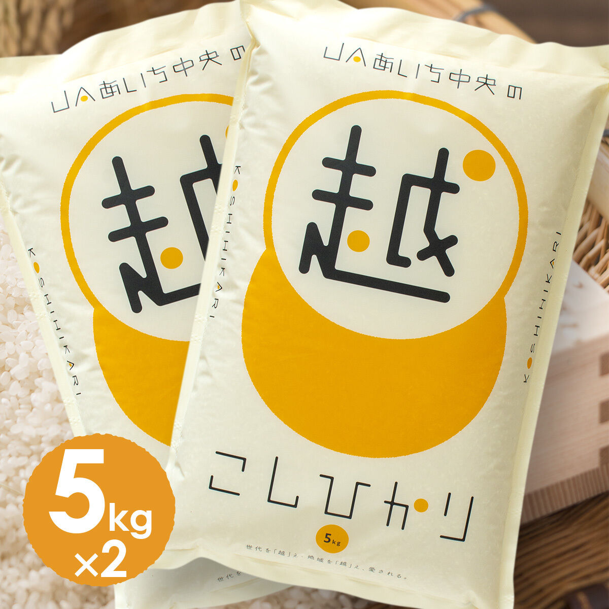 愛知県産 コシヒカリ 10kg お米 米 5kg×2 白米 令和6年産