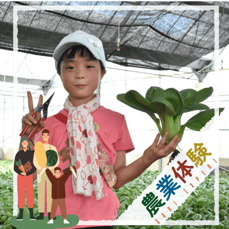 【令和4年12月11日（日）開催】『親子で体験　チンゲンサイ』 協賛：味の素株式会社【愛知県安城市で開催】