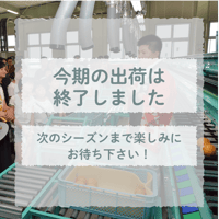 【令和3年8月21日（土）開催】　小学生の夏休み親子体験イベント「安城梨をまなぼう！」【愛知県安城市】