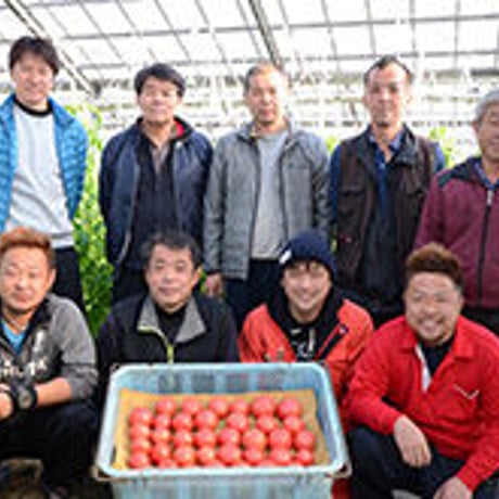 【愛知県碧南市産】へきなんトマト　4㎏箱・Ⅼサイズ（20玉入）