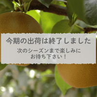 特産加工品】へきなん美人PREMIUM100 1箱（20本入）【令和7年度産