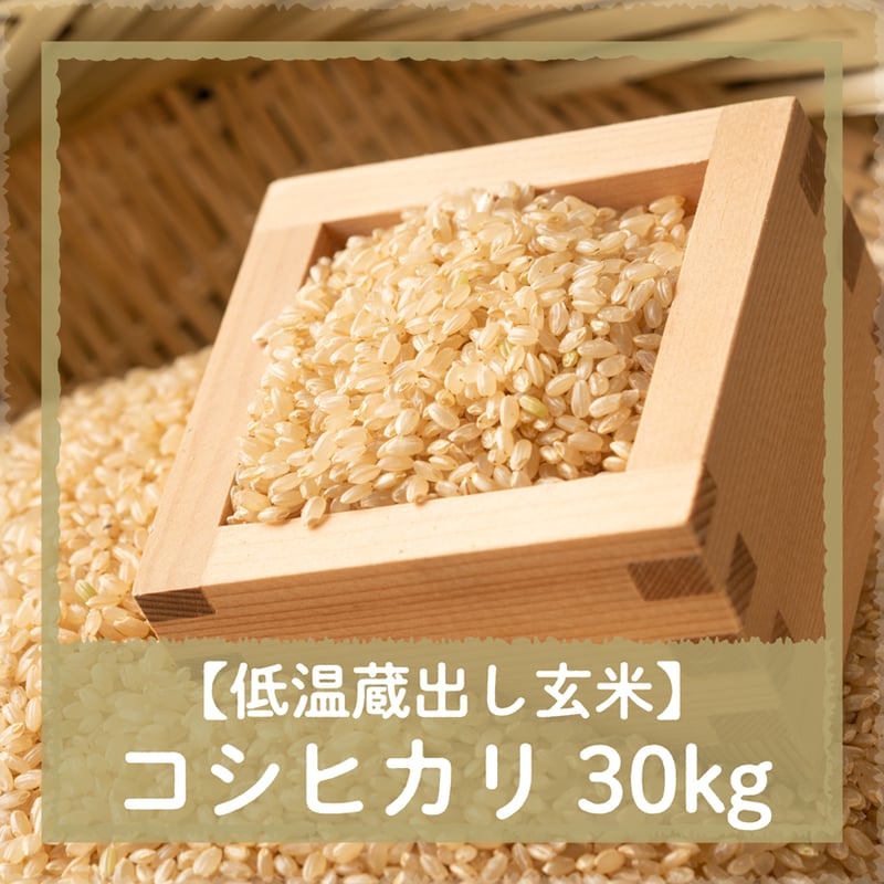 令和7年5月10日(土)引き渡し】低温蔵出し玄米コシヒカリ30kg 令和7年5月10日(土)引き渡し】低温蔵出し玄米コシヒカリ30kg