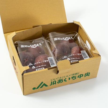 【愛知県安城市/碧南市産他】ハウスいちじく　2パック入箱　★2箱セット