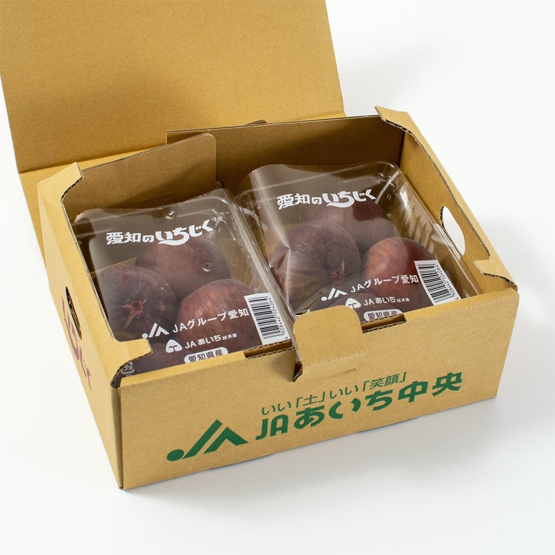 愛知県安城市/碧南市産他】ハウスいちじく 2パック入箱 ☆2箱セット