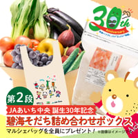 【JAあいち中央誕生30年記念　第２弾】碧海そだち詰合せボックス（限定コットンマルシェバッグ付）