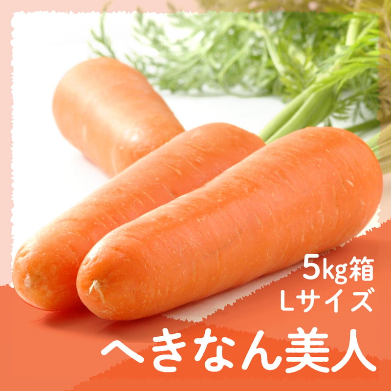 愛知県碧南市産】ニンジン『へきなん美人』5㎏箱・Lサイズ【小型規格
