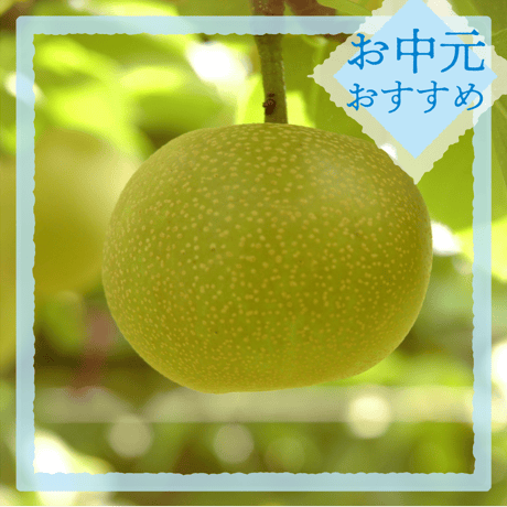 【御中元のし付】安城梨『愛甘水』　3㎏箱・6-8玉入り