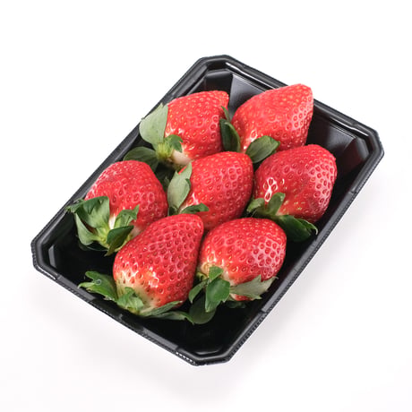 【新商品】安城いちご『愛きらり』 2パック入箱（5～12玉入・250g/平パック）【年明け販売分】