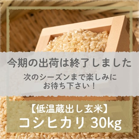 玄米　30kg あいちのかおり 楽天市場】あいちのかおり 玄米 30kgの通販