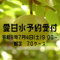 【愛知県安城市/刈谷市産】安城梨『愛甘水』　3㎏箱・6-8玉入り