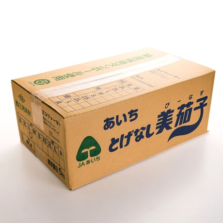 【愛知県 碧南市/安城市産】ナス「とげなし美茄子（びーなす）」　5㎏箱・Ⅼサイズ（45本入）