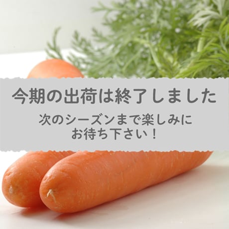 【愛知県碧南市産】ニンジン『へきなん美人』10㎏箱・Lサイズ【大容量】