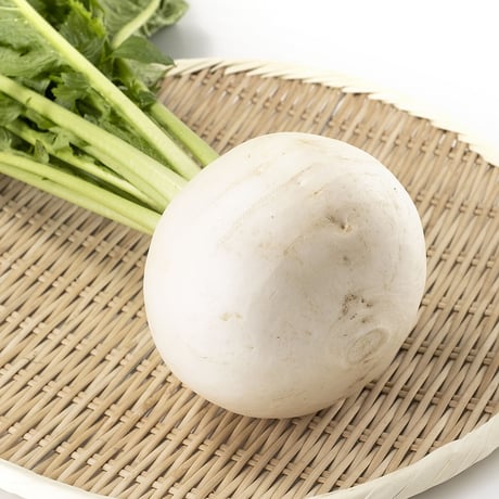 【愛知県碧南市産】碧南のかぶ（露地カブ）　10㎏箱・4Ⅼサイズ（12玉入）