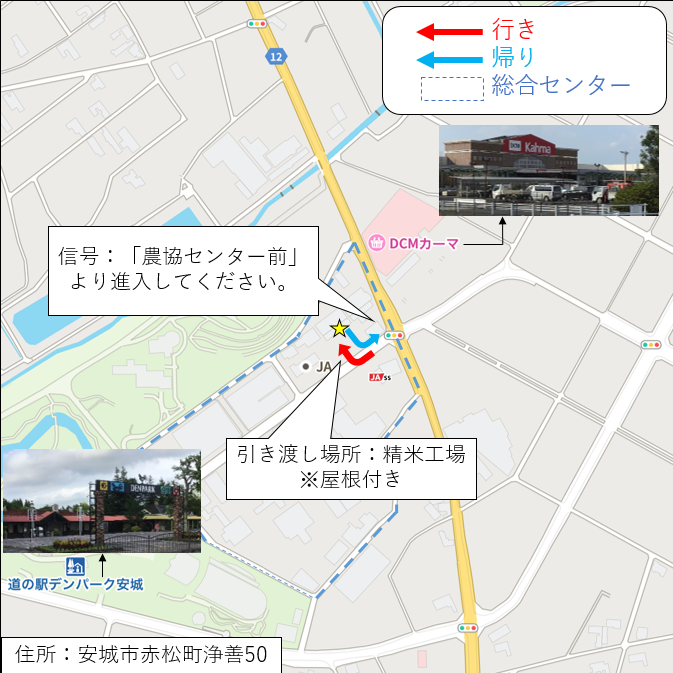 8/1（土）10：00～12：00引渡し】低温蔵出し玄米コシヒカリ30kg | JA